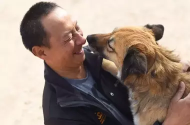 Pursuing a Passion: Careers for Dog Enthusiasts