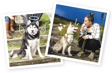 The Enduring Bond: Finding Love After Losing Your Heart Dog