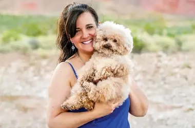 Willow's Journey: From Dog Meat Trade Survivor to Advocate for Change