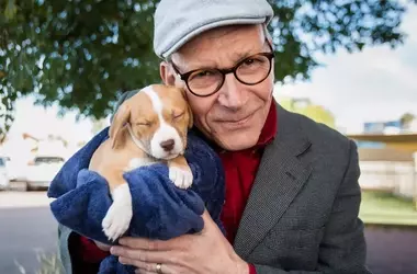 Canine Companions: Unraveling Dogs' Instincts to Rescue Their Owners