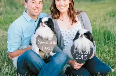 Integrating Canine Companions into Your Wedding Celebration