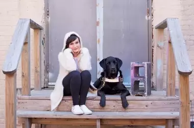 Molly Burke: A Story of Resilience, Advocacy, and Guide Dog Companionship