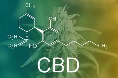 New Study Reveals Unexpected CBD Impact on Cannabis Effects in Schizophrenia Patients