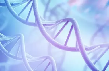 Gene Mutation Influences Alcohol Sensitivity and Consumption