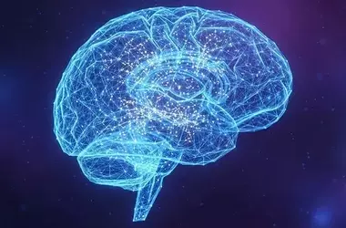 Neural Dynamics and General Intelligence: A New Perspective