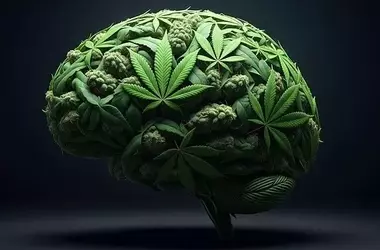 Cannabis Use Linked to Reduced Alcohol Consumption