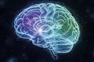 Unraveling Compulsive Phone Use: Brain Pathways and Psychological Factors Identified