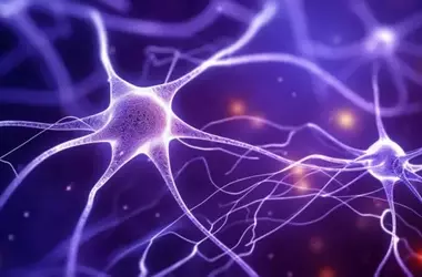 Alzheimer's Drug Lecanemab Boosts Immune Cell 'Cleaning' Mechanism to Combat Plaques