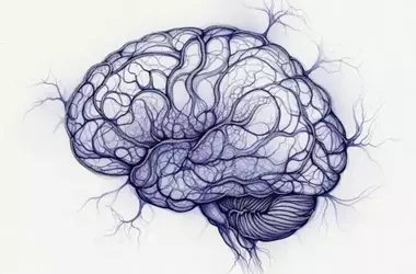 Neurodiverse Youth: Brain Activity Shifts Inward to Manage Sensory Overload