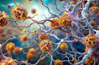 Enhancing Brain's Natural 'Cleaners' to Combat Alzheimer's Plaques and Memory Loss