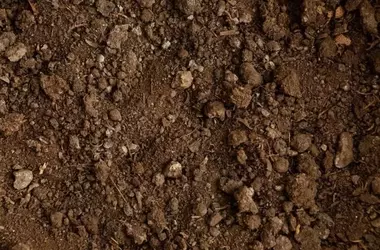 Día Mundial del Suelo 2025: La Tierra, Recurso Imprescindible en Peligro