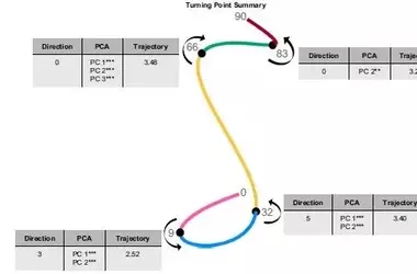 The Dynamic Evolution of the Human Brain: Five Epochs of Development