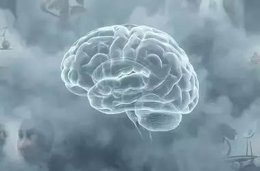 New Research Distinguishes Cognitive Disengagement Syndrome from ADHD in Youth