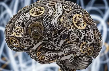 New Research Re-evaluates Empathy in Highly Intelligent Individuals