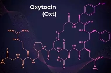 Oxytocin's Influence on Male Luxury Spending During Partner's Ovulation