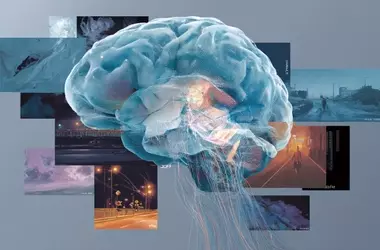 AI Brain Model Offers New Insights into Real-World Fear Processing