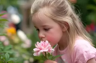 Orquídeas, Tulipanes y Dientes de León: Comprendiendo la Sensibilidad Infantil