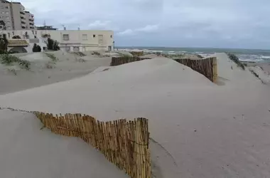 La Restauración de Dunas en La Manga: Un Escudo Contra la Erosión y Especies Invasoras