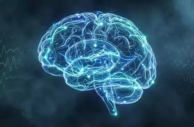 Deep Sleep Optimizes Brain Networks for Memory Consolidation