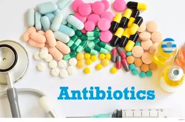 Understanding Antibiotics: A Scientific and Technical Overview
