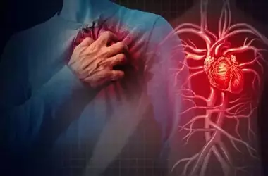 Understanding Heart Disease: A Comprehensive Scientific Overview