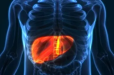 Understanding Fatty Liver: A Comprehensive Scientific Overview