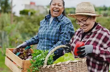 Community Gardens: Cultivating Social Capital and Well-being
