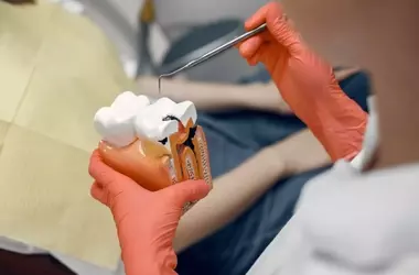 Root Canal Treatment: Understanding Dental Procedures for Tooth Preservation
