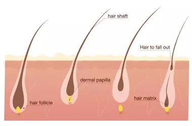 Understanding AGA Treatment Drug: A Comprehensive Scientific Overview