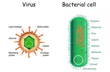 Understanding Antibiotic Medications: A Comprehensive Scientific Overview