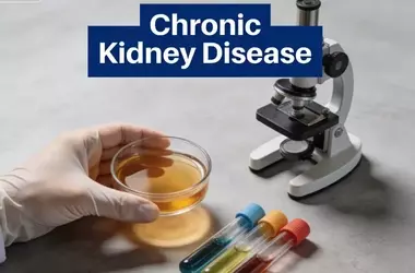 Chronic Kidney Disease: A Comprehensive Technical Overview