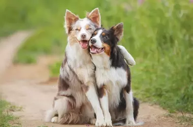 Enhancing Well-being: A Guide to Boosting Mood and Happiness