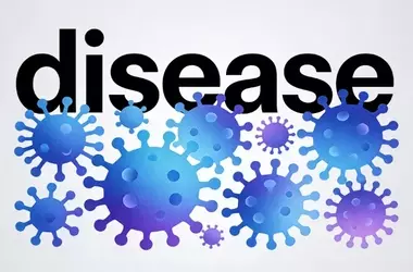 What Is a Chronic Disease? A Technical and Clinical Overview