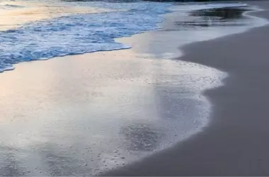 El Litoral de Matalascañas se Degrada: Una Amenaza para Doñana