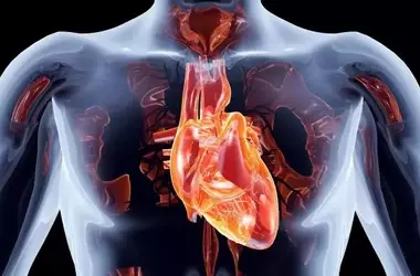 Innovazioni Rivoluzionarie nella Cardiologia Interventistica: Interventi Valvolari Senza Bisturi