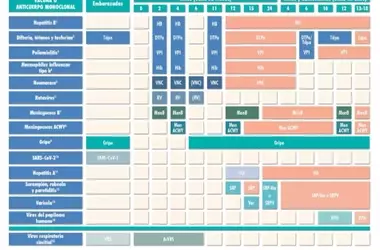 Actualizaciones del Calendario de Vacunación Infantil para 2026: Novedades Cruciales para Padres
