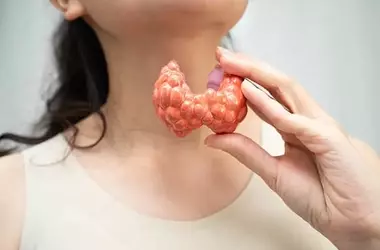 Understanding Initial Signs of a Sluggish Thyroid Gland