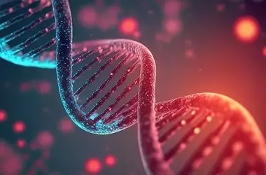 Biological Age Accelerates Cognitive Decline