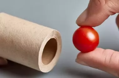 El Sencillo Truco del Rollo de Papel Higiénico para Prevenir Atragantamientos en Niños