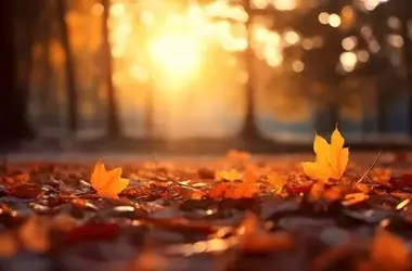 Luce Solare: Un Fattore Sottovalutato nella Gestione del Diabete