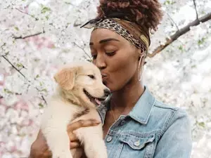 Preparing Your Canine Companion for Daycare or a Walker