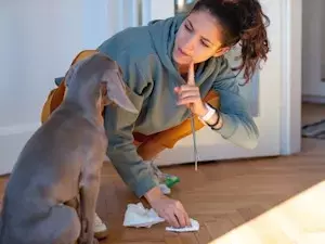 The Art of Canine Communication: Understanding Your Dog's Interpretation of Tone