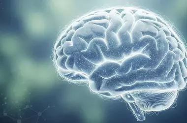 MIND Diet Adherence Linked to Healthier Alzheimer's Biomarkers in Middle Age