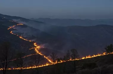 Universidades Españolas, al Frente contra los Incendios Forestales: Educación y Acción por un Futuro Sostenible