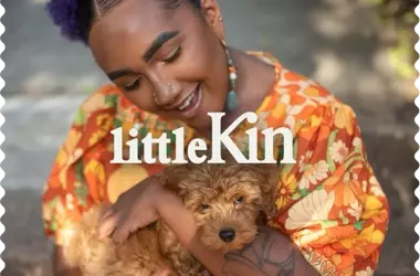 Choosing the Best Training Treats for Your Canine Companion