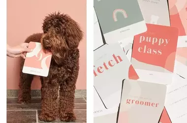 Cherishing Every Paw Print: Pawness Milestone Cards for New Puppy Parents