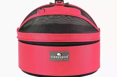 Top Picks for Pet Products: Enhancing Your Dog's Life