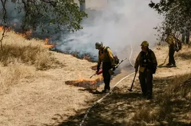 Galicia: La Gestión Territorial como Escudo ante Incendios Forestales Extremos