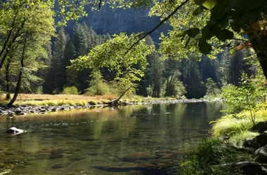 Soria: Epicentro de la Recuperación Fluvial Ibérica en 2026