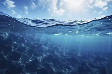 El Tratado Global de los Océanos: Un Momento Crucial para la Preservación Marina